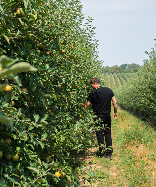 Adelhelm Landtechnik Maschinenbau Adelhelm Landtechnik Maschinenbau